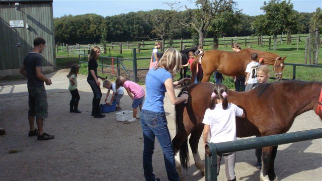 Plezier met de pony's op Manege Meijer
