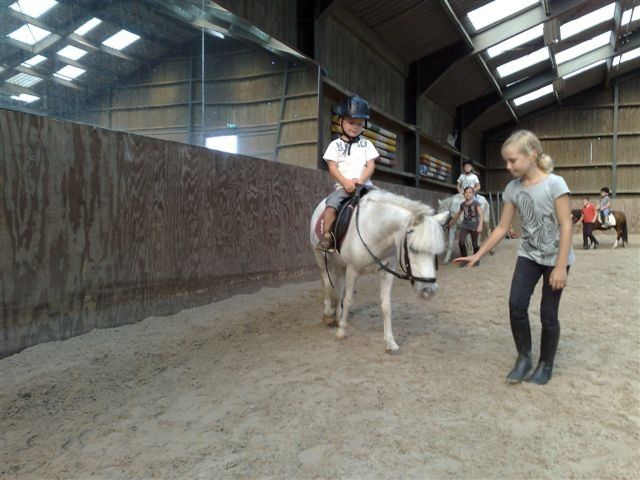 Plezier met de pony's op Manege Meijer