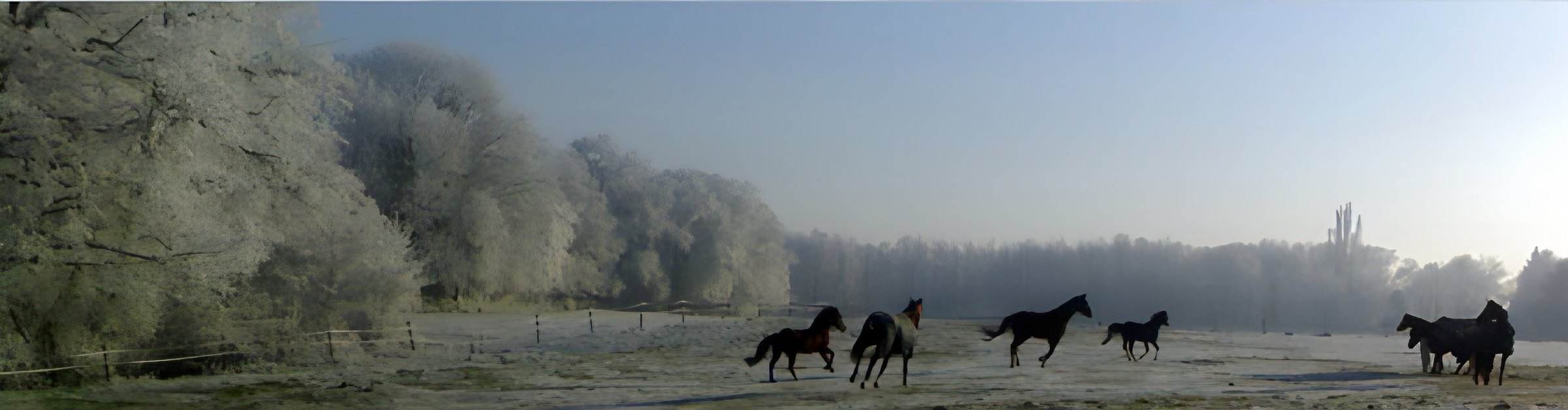De wei bij de manege op een winterochtend